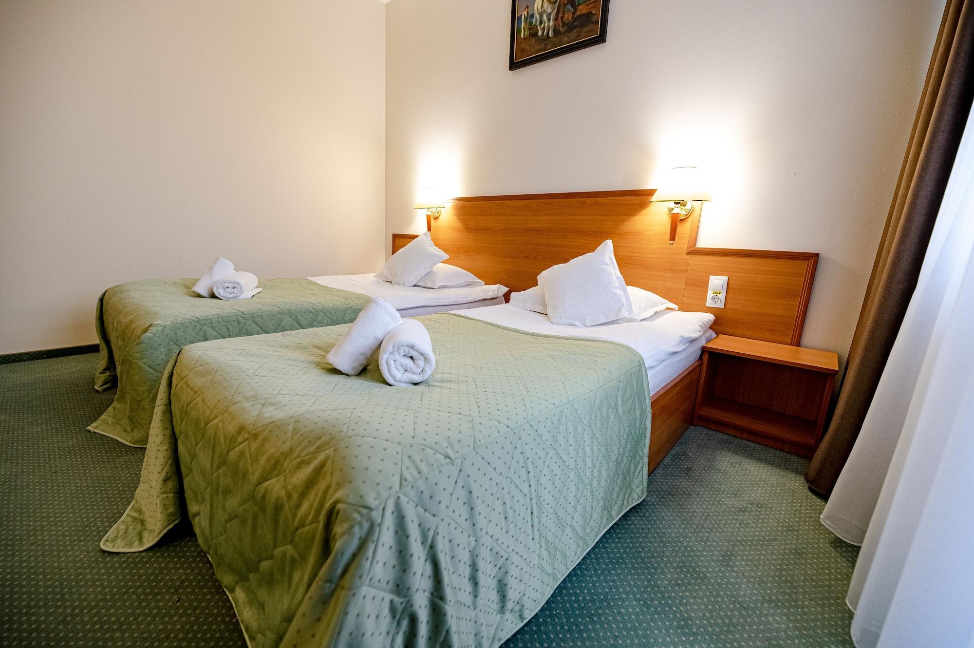 Hotel Rivulus Baia Mare Buitenkant foto