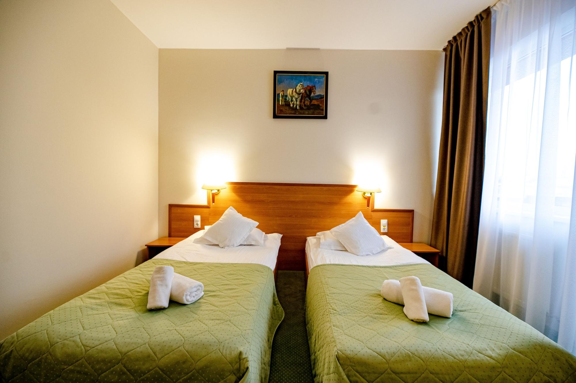 Hotel Rivulus Baia Mare Buitenkant foto